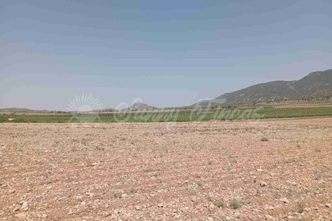 Helårsgrund i Yecla, Murcia, Yecla - € 39.000 | Ref: SF0472 - foto 2